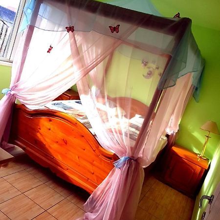Casa Edu Daire Avrig Dış mekan fotoğraf