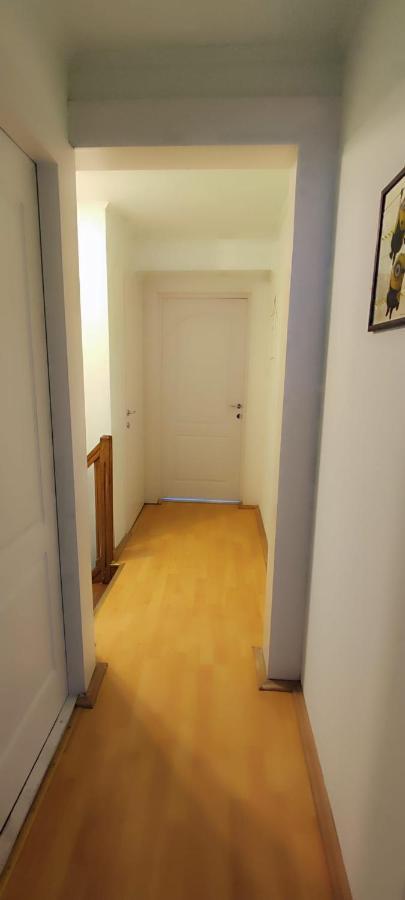 Casa Edu Daire Avrig Dış mekan fotoğraf